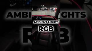 Ambient Lights RGB For The New Model 3 [upl. by Ellehcram851]