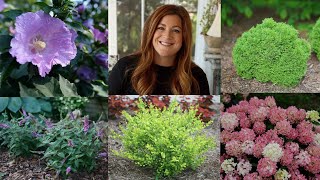 10 Small Shrubs that Will Fit In Any Garden 🌿  Garden Answer [upl. by Nicolais]