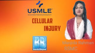 General Pathology Cellular InjuryUSMLE STEP 1Boards amp Beyond [upl. by Seidnac]