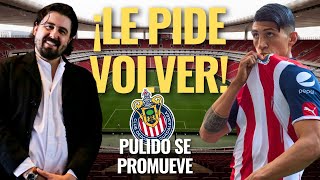 🚨 ¡NOTICIAS CHIVAS Le PIDE VOLVER al Rebaño Lo ÚLTIMO sobre ALAN PULIDO que se PROMUEVE FUERTE 🚨 [upl. by Hsetirp]