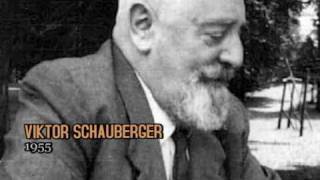 Viktor Schauberger  Tonaufnahme 1955 [upl. by Bumgardner622]