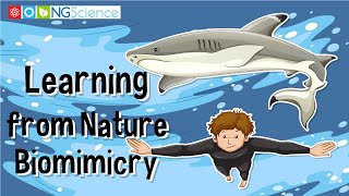 Learning from Nature – Biomimicry [upl. by Inasah]