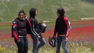 La fioritura di Castelluccio di Norcia 2018 long version per Televisioni [upl. by Licko611]