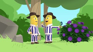 Into The Wild  Bananas in Pyjamas Season 1  Full Episodes  Bananas In Pyjamas [upl. by Iphigenia]