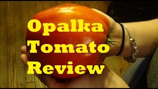 Opalka Tomato Review [upl. by Uke505]