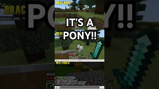 ITS A PONY minecraft videogames mmo gaming mmorpg [upl. by Bevus404]