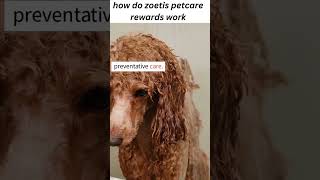 how do zoetis petcare rewards work [upl. by Rihana]