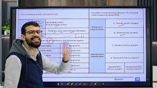 Summary revision ANS 1 Lectures 48 [upl. by Alarise]