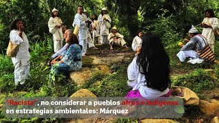 quotRacistaquot no considerar a pueblos afros e indígenas en estrategias ambientales Márquez [upl. by Ajna554]