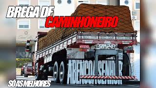 BREGA DE CAMINHONEIRO SO AS ANTIGAS COM DOWNLOAD [upl. by Copp]