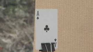 Ruger 1022 Magnum Card Cutting in half at 100 Yards [upl. by Asselem]