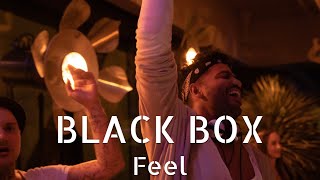 Black Box  Feel Official Music Video Deep House [upl. by Delcine]