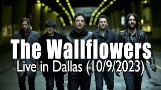 The Wallflowers  Highlights LIVE  1092023 [upl. by Claude]