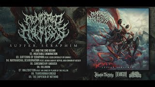 RENDERED HELPLESS  SUFFER SERAPHIM OFFICIAL ALBUM STREAM 2019 SW EXCLUSIVE [upl. by Suqram]