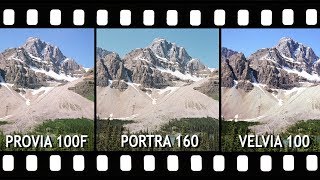 Slide Film vs Color Negative Portra 160 Provia 100F amp Velvia 100 [upl. by Alleda]