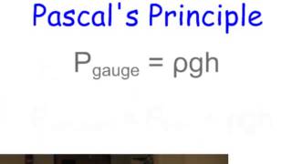 61  Pascals Principle [upl. by Sihon880]