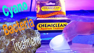 Cyanobacteria Treatment Chemiclean  Reef Tank [upl. by Adekam989]