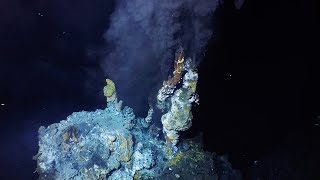 What are hydrothermal vents [upl. by Sankey382]