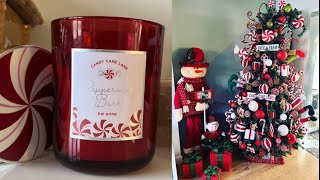 DW Home Candle Review Peppermint Bark AND Christmas Tree Reveal 2022 [upl. by Rossen]