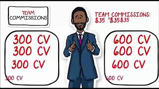 15 minutes Compensation Plan Jeunesse Global [upl. by Elconin]