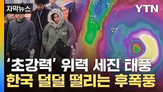 자막뉴스 초강력 태풍이 남긴 파장에한국 11월 첫주부터 한파 급습  YTN [upl. by Krasner987]