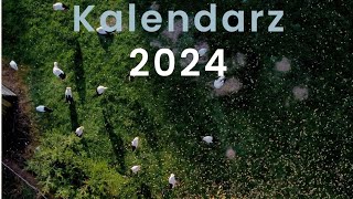 Bocianie kalendarze na 2024 rok [upl. by Eveivaneg575]