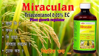 মিরাকুলানMiraculanকখন গাছে কতো মাত্রায় প্রয়োগ করবেন জেনে নিন How to use Miraculan  Best PGR [upl. by Farrah]