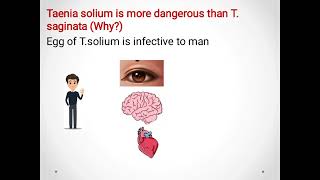 Taenia saginata Beef tapeworm amp Taenia solium pork tapeworm ديدان اللحم الشريطية [upl. by Thane]