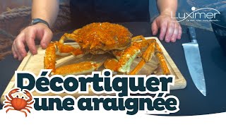 COMMENT DÉCORTIQUER UNE ARAIGNÉE DE MER   Tuto facile by Luximer [upl. by Rosette71]