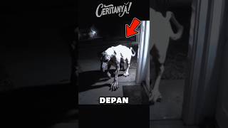 VIRAL‼️ Jika binatang ini mendatangi rumahmu 😱😱 shorts subscribe faktaunik [upl. by Anecuza]