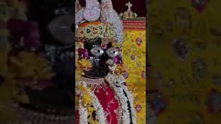 pehli baar kijiye durlabh darshan seedhe vrindavn se thakur shri bane bihari lal ji ke bankebihari [upl. by Attiuqaj]