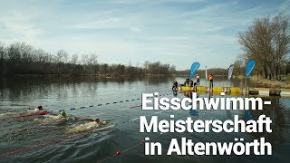 EisschwimmMeisterschaft Um die Wette kraulen im eiskalten Wasser [upl. by Deonne]