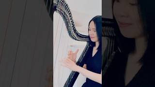 Pierre Barrouh  Samba Saravah harp cover short [upl. by Kristofor]