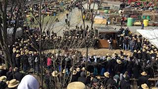 Amish horse sale at Gordonville mud sale Lancaster PA [upl. by Ytissahc520]