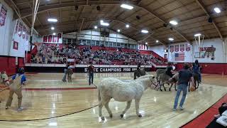 Carnegie Oklahoma Donkey Basketball 2024 [upl. by Nnaitsirhc]