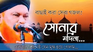 সোনার মদিনা আমার প্রানের মদিনা সব ভুলিবো কিন্তু তোমায় ভুলতে পারিনা [upl. by Terpstra]