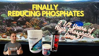 Reducing High Phosphates in My 200 Gallon Reef Tank 2 12 Years of Lessons to Get to This Point [upl. by Nednarb599]