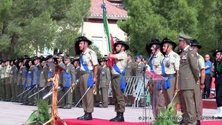 BRIGATA SASSARI COL MASSIMO PECCHINOTTI 82° COMANDANTE DEL 3° BERSAGLIERI [upl. by Ayetal]