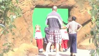 Children watching penguins at Blackpool Zoo [upl. by Nwaf]