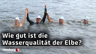 Professor schwimmt 1083 Kilometer durch die Elbe Wie sauber ist das Gewässer [upl. by Ameehs]