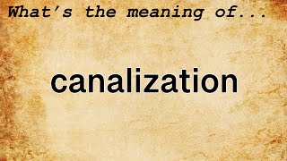 Canalization Meaning  Definition of Canalization [upl. by Nayr806]