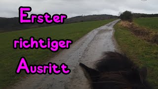 Erster richtiger Ausritt mit der Isländer Stute🦄 Sie macht das richtig gut 😍 [upl. by Erodeht909]