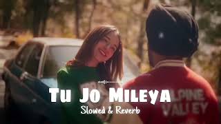 Tu Jo mileya lofi songmix sing Ankit Yadavlofisong lofi punjabisong [upl. by Rendrag475]