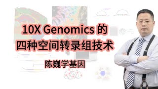 【陈巍学基因】视频127：10X Genomics 的 4 种空间转录组技术 [upl. by Sharia]