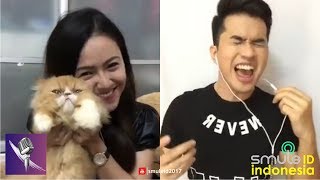 KACAU BABY SHIMA KESAL SAAT SMULE DIGANGGU KUCING KESAYANGANNYA [upl. by Ahsekan]