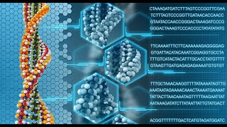 Understanding Genotyping Technologies Methods and Applications 3 Minutes [upl. by Roque]