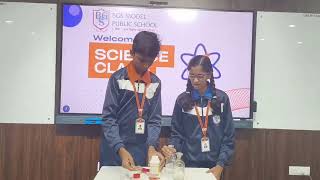 Reaction of hydrochloric acid with zinc metal Experiment by 8th Grade Students [upl. by Avaria]