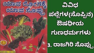 ವಿವಿಧ ಸೊಪ್ಪಿನ ಔಷಧೀಯ ಗುಣಧರ್ಮಗಳು ರಾಜಗಿರಿಸೊಪ್ಪು Medicinal Properties Of Different Plants Rajagirisoppu [upl. by Retha]