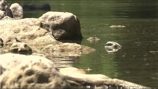 Dive team recovers body of 12yearold boy who drowned in Guadalupe River [upl. by Haiasi]