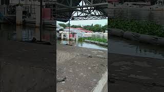 Malacañang palace shoreline youtubeshortsvideo [upl. by Thacher884]